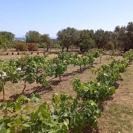 Ampelia Apartmán Sitia (Crete)