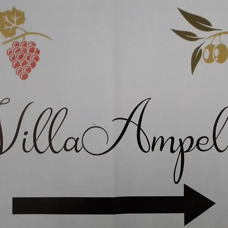 Ampelia Sitía